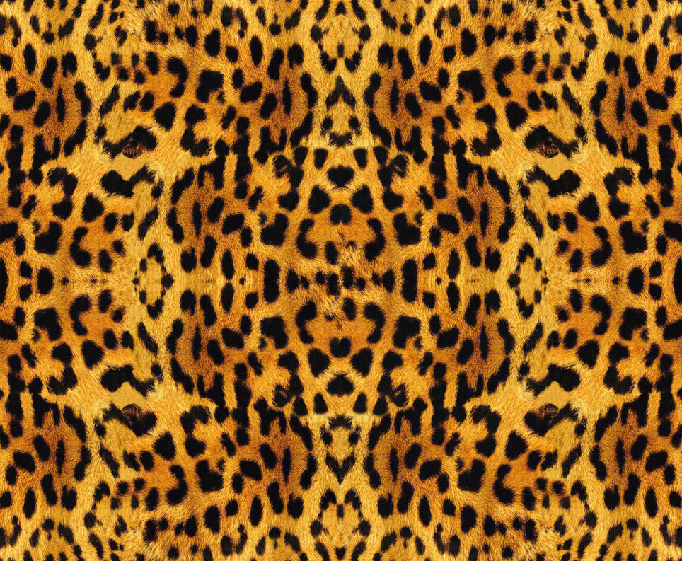 Leopard (Nr. 5970) • Leopardenmuster • Trends • Bildgalerie