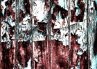 Texturen-Color • Texture • Photo Murals • Berlintapete