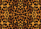 Leopard sample •  • Berlintapete