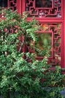 Chinesischer Garten • Architektur • Fototapeten • Berlintapete • Chinese Garden (Nr. 15562)