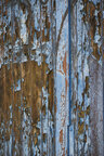 Texturen-Color • Texture • Photo Murals • Berlintapete • eroding wood (No. 15999)