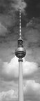 Berliner Fernsehturm • Architektur • Fototapeten • Berlintapete • TV-Tower (Nr. 7630)