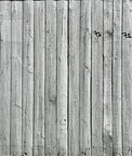 Texture - Wood • Texture • Photo Murals • Berlintapete • wood wound (No. 15096)