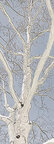 Ingo Friedrich (Airart) • Image gallery • Berlintapete • Branches and twigs (No. 15224)
