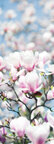 Ingo Friedrich (Airart) • Image gallery • Berlintapete • magnolia (No. 15673)