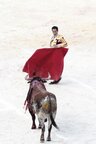 Stier-rennen • Reportage • Fototapeten • Berlintapete • trianero&bolivar (Nr. 15596)