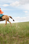 Mongolei • Reportage • Fototapeten • Berlintapete • Mongolei (Nr. 15881)