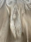 Aram Radomski • Bildgalerie • Berlintapete • Erotic Sand (Nr. 3973)