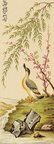 China-Art • Illustration • Photo Murals • Berlintapete • Pekingente (No. 3916)