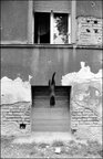 East Germany 86-89 • Reportage • Fototapeten • Berlintapete • Cat Jump (Nr. 4025)
