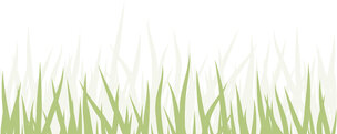 Illustration grass • Illustration • Photo Murals • Berlintapete • Grass (No. 6635)