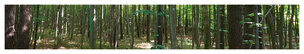 far look • Landscape • Poster Shop • Berlintapete • (H/B) 46,5 cm x 260 cm (No. 5680) far look • Landscape • Poster Shop • Berlintapete • (H/B) 46,5 cm x 260 cm (No. 5680)