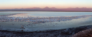 Altiplano • Berge • Fototapeten • Berlintapete • Atacama-Panorama (Nr. 8135)