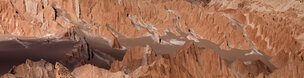 Altiplano • Landschaften • Fototapeten • Berlintapete • Atacama-Panorama (Nr. 8137)