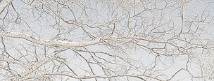 Ingo Friedrich (Airart) • Image gallery • Berlintapete • Branches and twigs (No. 15234)