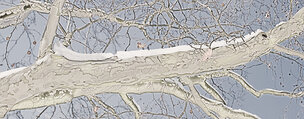 Ingo Friedrich (Airart) • Image gallery • Berlintapete • Branches and twigs (No. 15239)