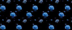 Ingo Friedrich (Airart) • Image gallery • Berlintapete • jellyfish (No. 7439)