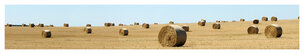 far look • Landscape • Poster Shop • Berlintapete • (H/B) 46,5 cm x 260 cm (No. 5625) far look • Landscape • Poster Shop • Berlintapete • (H/B) 46,5 cm x 260 cm (No. 5625)