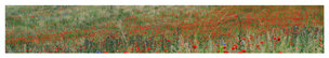 far look • Landscape • Poster Shop • Berlintapete • (H/B) 46,5 cm x 260 cm (No. 5626) far look • Landscape • Poster Shop • Berlintapete • (H/B) 46,5 cm x 260 cm (No. 5626)