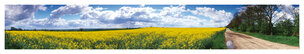 far look • Landscape • Poster Shop • Berlintapete • (H/B) 46,5 cm x 260 cm (No. 5627) far look • Landscape • Poster Shop • Berlintapete • (H/B) 46,5 cm x 260 cm (No. 5627)