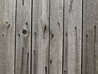 Texture - Wood • Texture • Photo Murals • Berlintapete • Wood (No. 8580)
