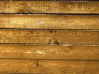 Texture - Wood • Texture • Photo Murals • Berlintapete • Wood (No. 8584)