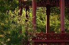 Chinesischer Garten • Architektur • Fototapeten • Berlintapete • Chinese Garden (Nr. 15555)