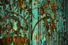 Texturen-Color • Texture • Photo Murals • Berlintapete • eroding wood (No. 15994)