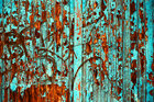 Texturen-Color • Texture • Photo Murals • Berlintapete • eroding wood (No. 15996)
