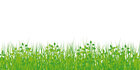 Illustration grass • Illustration • Photo Murals • Berlintapete • Grass (No. 6629)