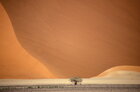 Dirk Heckmann (www.heckmann-photography.com) • Bildgalerie • Berlintapete • Trip Namibia (Nr. 4501)