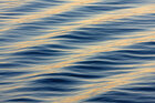 Water • Texture • Photo Murals • Berlintapete • Waterwaves (No. 6435)