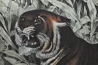 Animalworld I • Illustration • Photo Murals • Berlintapete • animals (No. 10575)