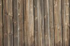 Texture - Wood • Texture • Photo Murals • Berlintapete • Wood (No. 12768)