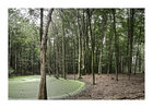 silberblick 360 Grad • Bildgalerie • Berlintapete • Wood (Nr. 38324)