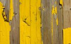 Texturen-Color • Texture • Photo Murals • Berlintapete • eroding wood (No. 7792)