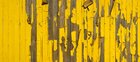 Texturen-Color • Texture • Photo Murals • Berlintapete • eroding wood (No. 7793)