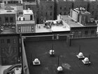NYC-Black&White • Black & White Monochrom • Photo Murals • Berlintapete • NYC Big Apple (No. 8902)