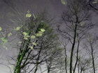 Aram Radomski Individuelle Fototapeten (Cluster 3d - Fototapete) • Bildgalerie • Berlintapete • Feuchtgebiet (Nr. 9047)