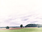 Felder&Himmel • Landschaften • Fototapeten • Berlintapete • Feldblick (Nr. 9695)