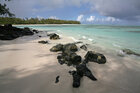 Dream beach • Wasser • Fototapeten • Berlintapete • Mauritius Coast (Nr. 10150)