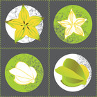 Pflanzen • Floral • Designtapeten • Berlintapete • Sternfrucht Designmuster (Nr. 13045)