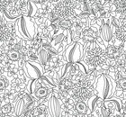 Blätter - Vektor Ornamente mit Blatt-Motiven • Floral • Designtapeten • Berlintapete • Florale Handzeichnung (Nr. 14537)