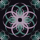 Makro Blüten - Musterdesigns mit großartigen Blüten • Floral • Designtapeten • Berlintapete • Fiwo Musterdesign Schwarz (Nr. 14113)
