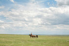 Mongolei • Landschaften • Fototapeten • Berlintapete • Mongolei (Nr. 15874)