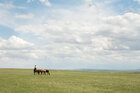 Mongolei • Landschaften • Fototapeten • Berlintapete • Mongolei (Nr. 15875)