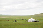 Mongolei • Landschaften • Fototapeten • Berlintapete • Nr. 15893