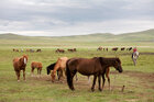 Mongolei • Landschaften • Fototapeten • Berlintapete • Nr. 15897