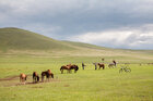 Mongolei • Landschaften • Fototapeten • Berlintapete • Nr. 15901